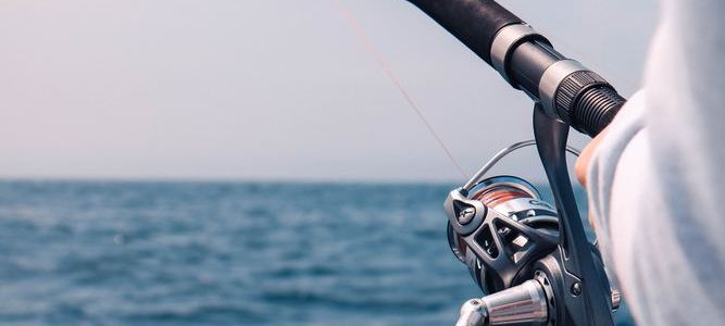 Kom ud på fisketure i Øresund her Kom ud på fisketure i Øresund her